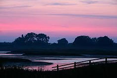 freiston_shore.jpg