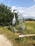 spa_trail.jpg