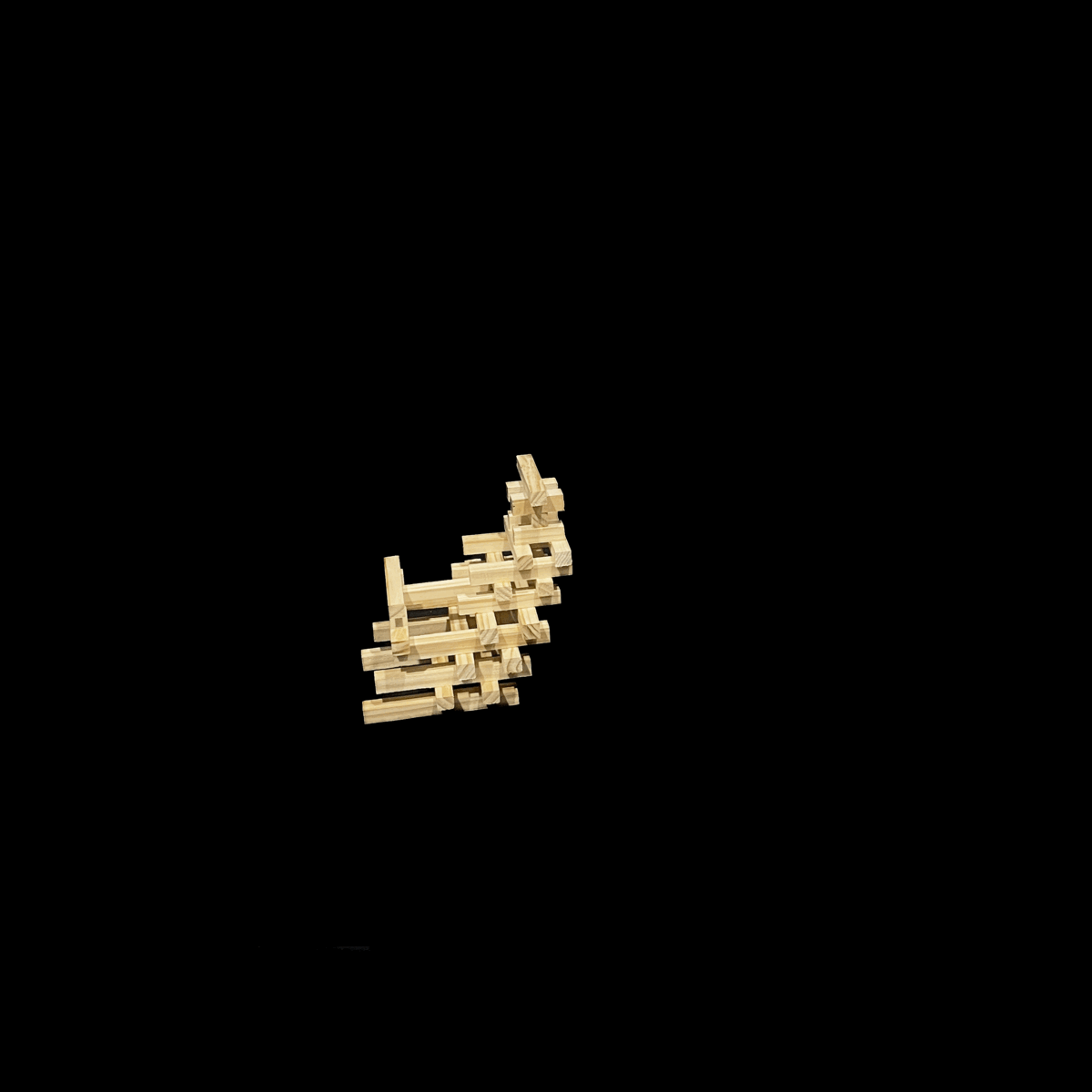 01_Model_BW.gif