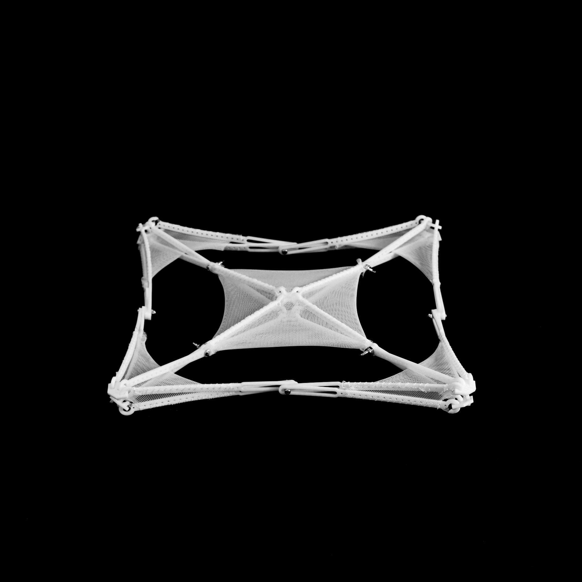 01_Model_BW.gif