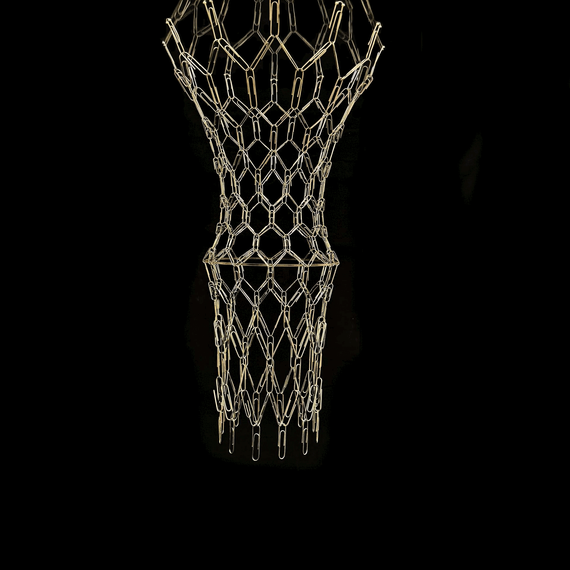 01_Model_BW.gif