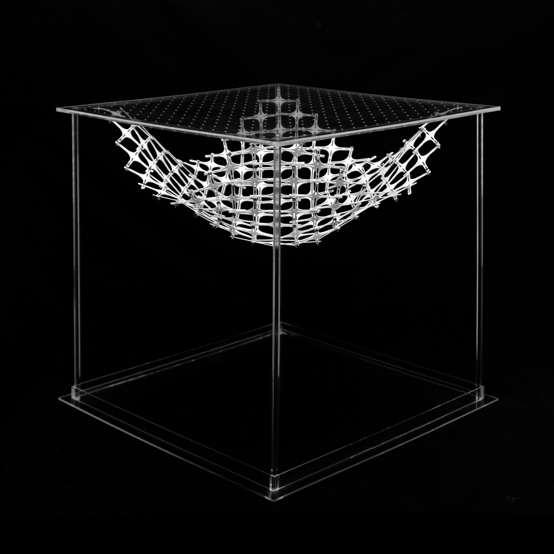 01_Model_BW.gif