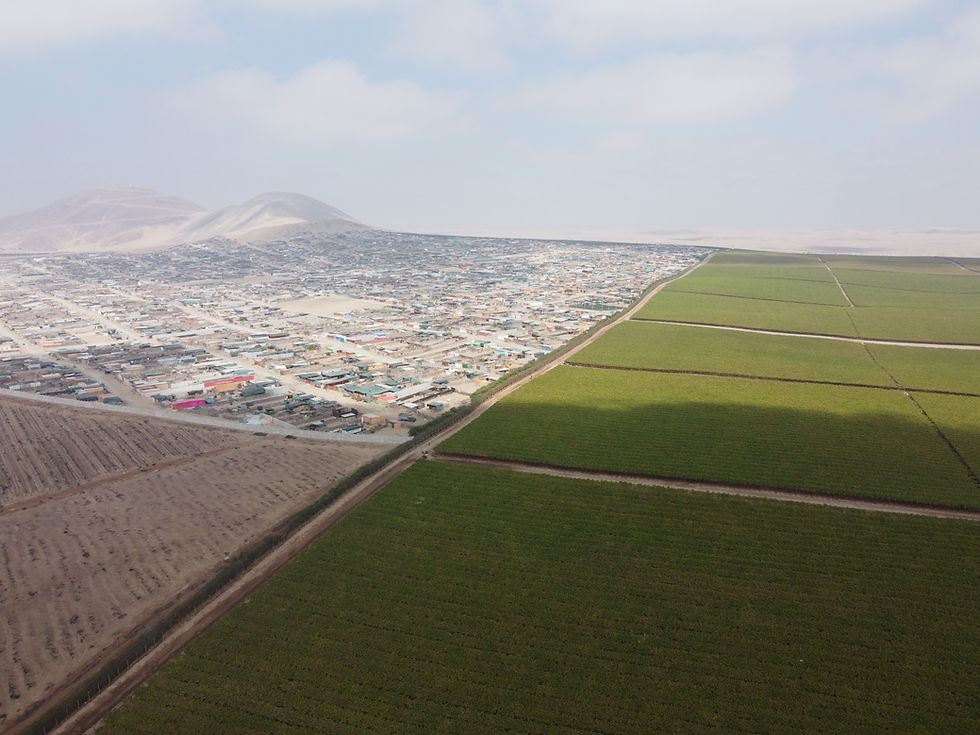 Photo credit: David Yarasca / Salud con lupa. Aerial view of the Ica region of Peru shows agro-export agricultural fields irrigated through extensive groundwater pumping, juxtaposed with neighbourhood communities facing scarce and contaminated water supplies.