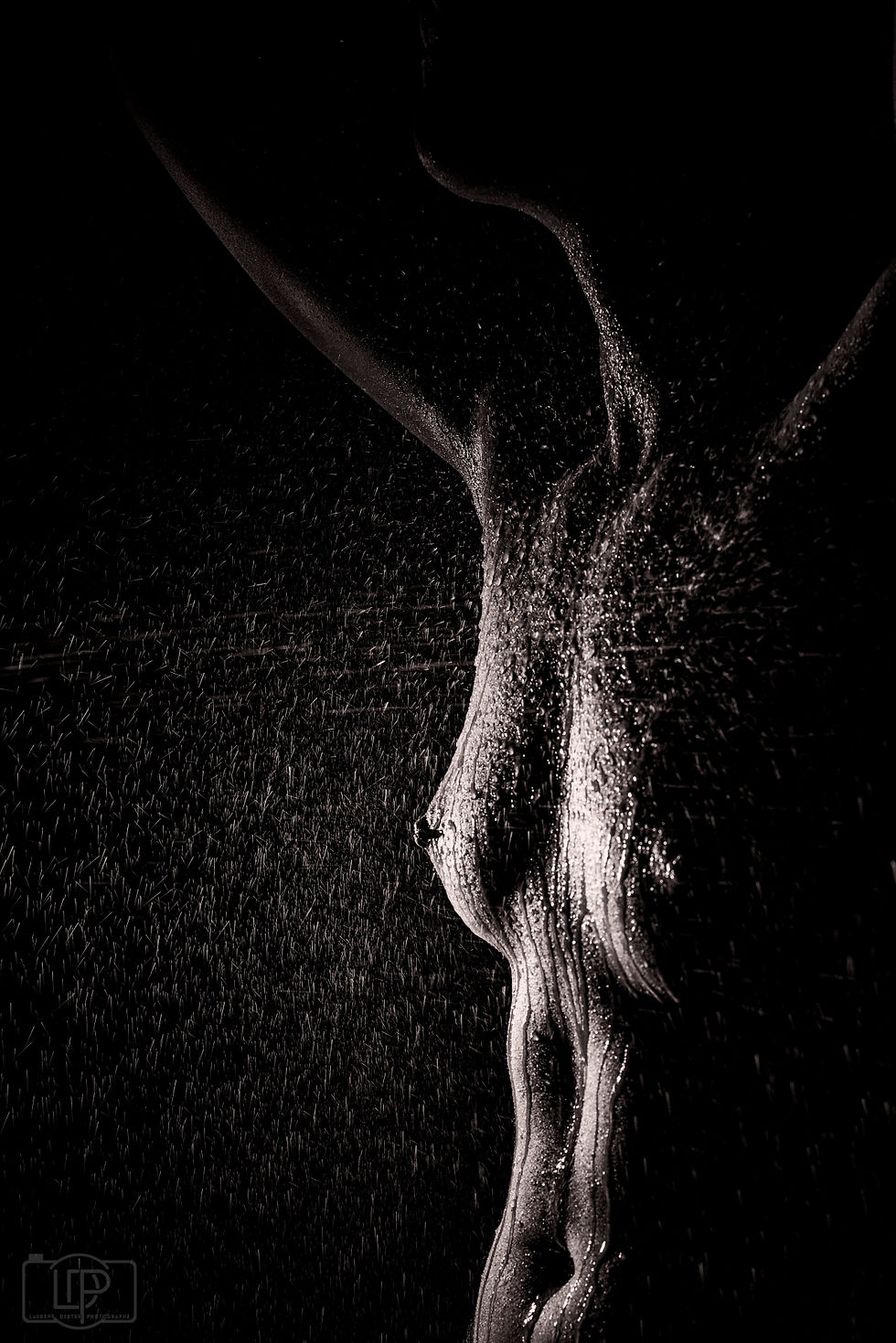 _LDP5102-Modifier