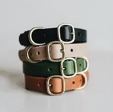Dog Collars 2.webp
