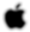 Apple iPhone Screen Repair