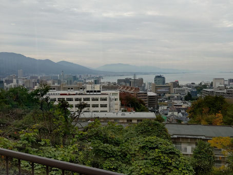 久しぶりです。