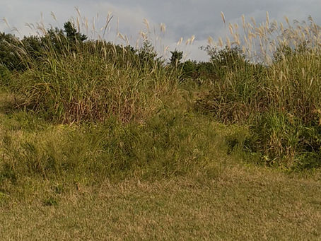 3連休とも天気は良好❣