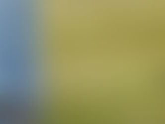 スキージャム夏より気温下がり