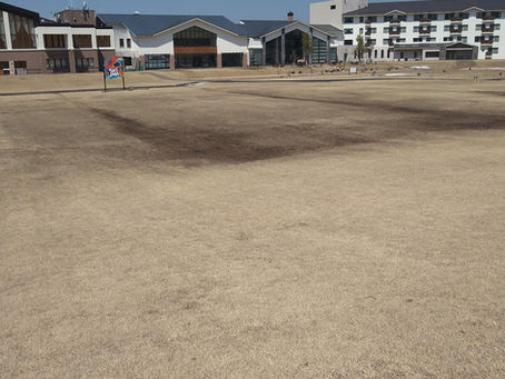 本日休業しています。