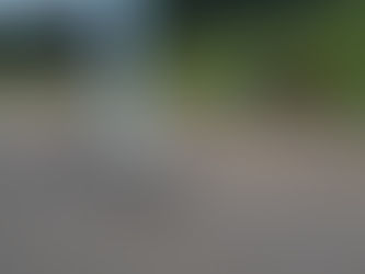 本日天気も良好( ´艸`)