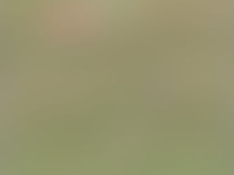 毎日寒いですね(´;ω;`)ウゥゥ