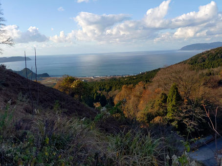 今日は、移動中に1枚