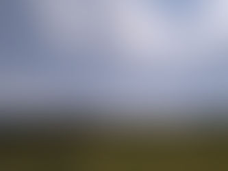 今日の天気は最高です。( ´艸`)