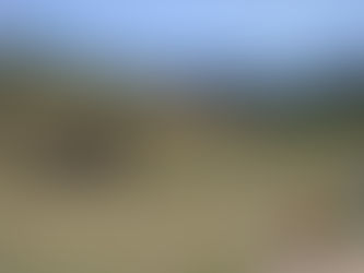 今日は全国的に🌤ていますね( ´艸`)