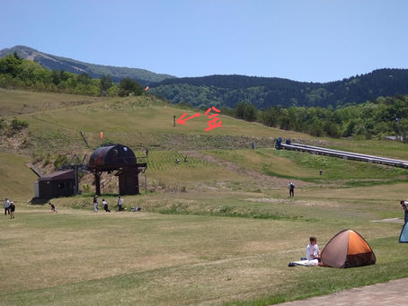 今日は全国的に🌤ていますね( ´艸`)