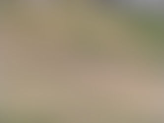 今日も2回目投稿します。