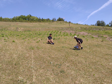 今日は夕方から雪(´;ω;`)ウゥゥ