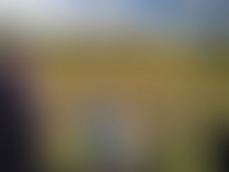 スキージャムにて恐竜レース