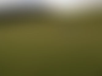 本日2回目です。