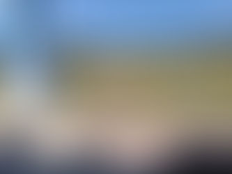 福井も雪が降り始めましたが・・・