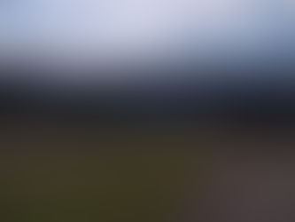 今日はスキージャムにて植樹祭が開催中