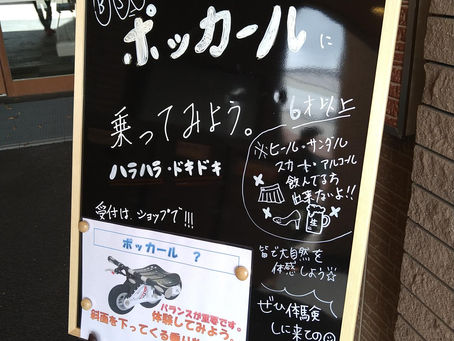 昨日と今日は雨ですね(´;ω;`)ウゥゥ