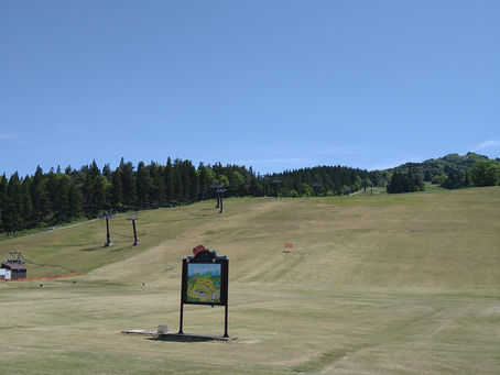 本日天気も良く営業中
