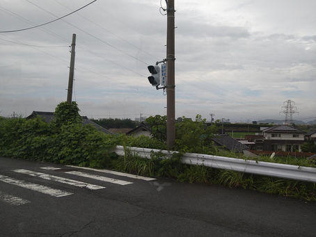 明け方 ☂が結構降っていましたね❕