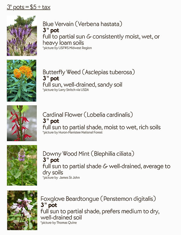 Native Plant Sale on Saturday, May 30th from 9:00am to 1:00pm at 2412 Taft Road in Allegan. List of plant choices the day of the sale.