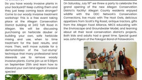 Summer Newsletter