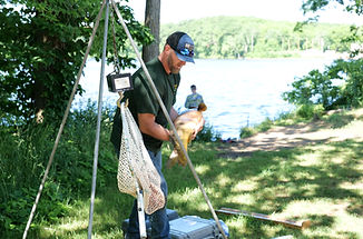 Weighing a carp