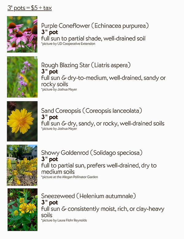 Native Plant Sale on Saturday, May 30th from 9:00am to 1:00pm at 2412 Taft Road in Allegan. List of plant choices the day of the sale.