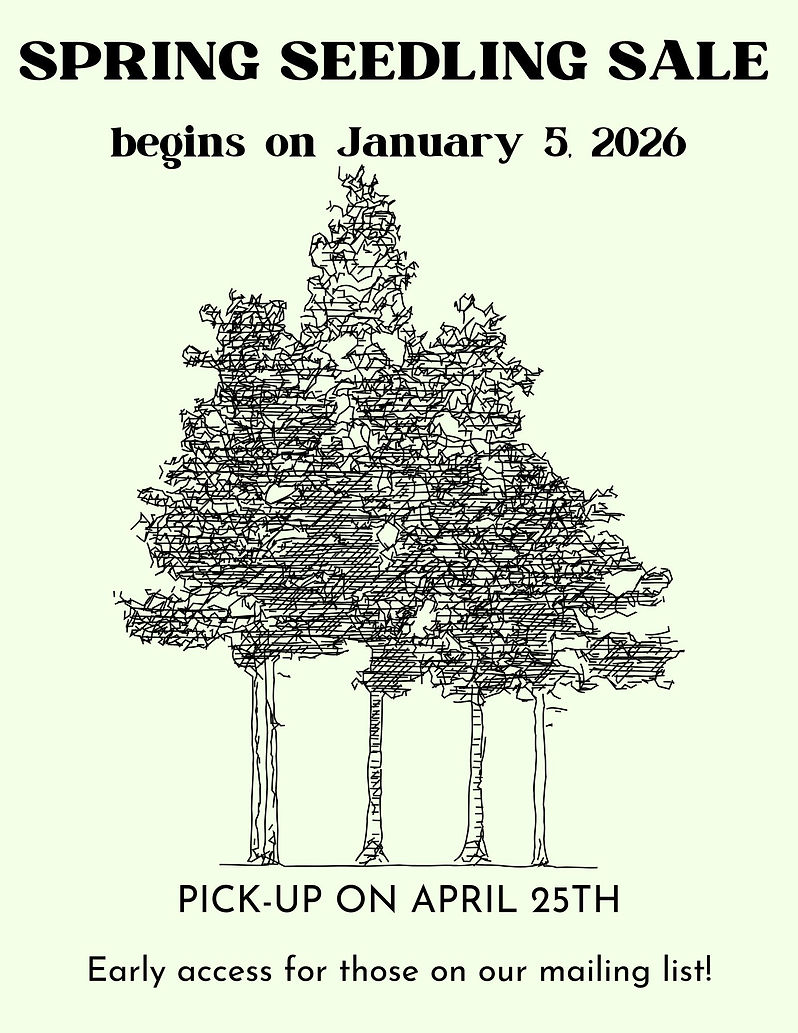 TreeSeedlingSaveTheDate2025(1).jpg