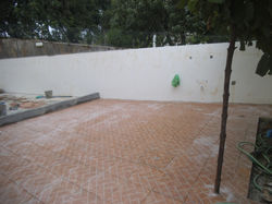 DSCF3464