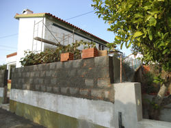 DSCF2993