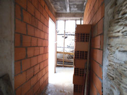 DSCF2729