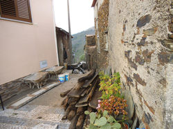 DSCF2662