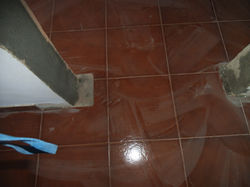 DSCF2655