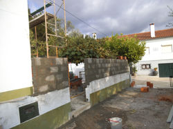 DSCF2992
