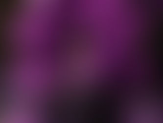 "Guía para unos XV perfectos"