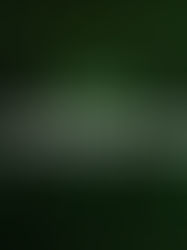 How to Determine the Shelflife of IOCs