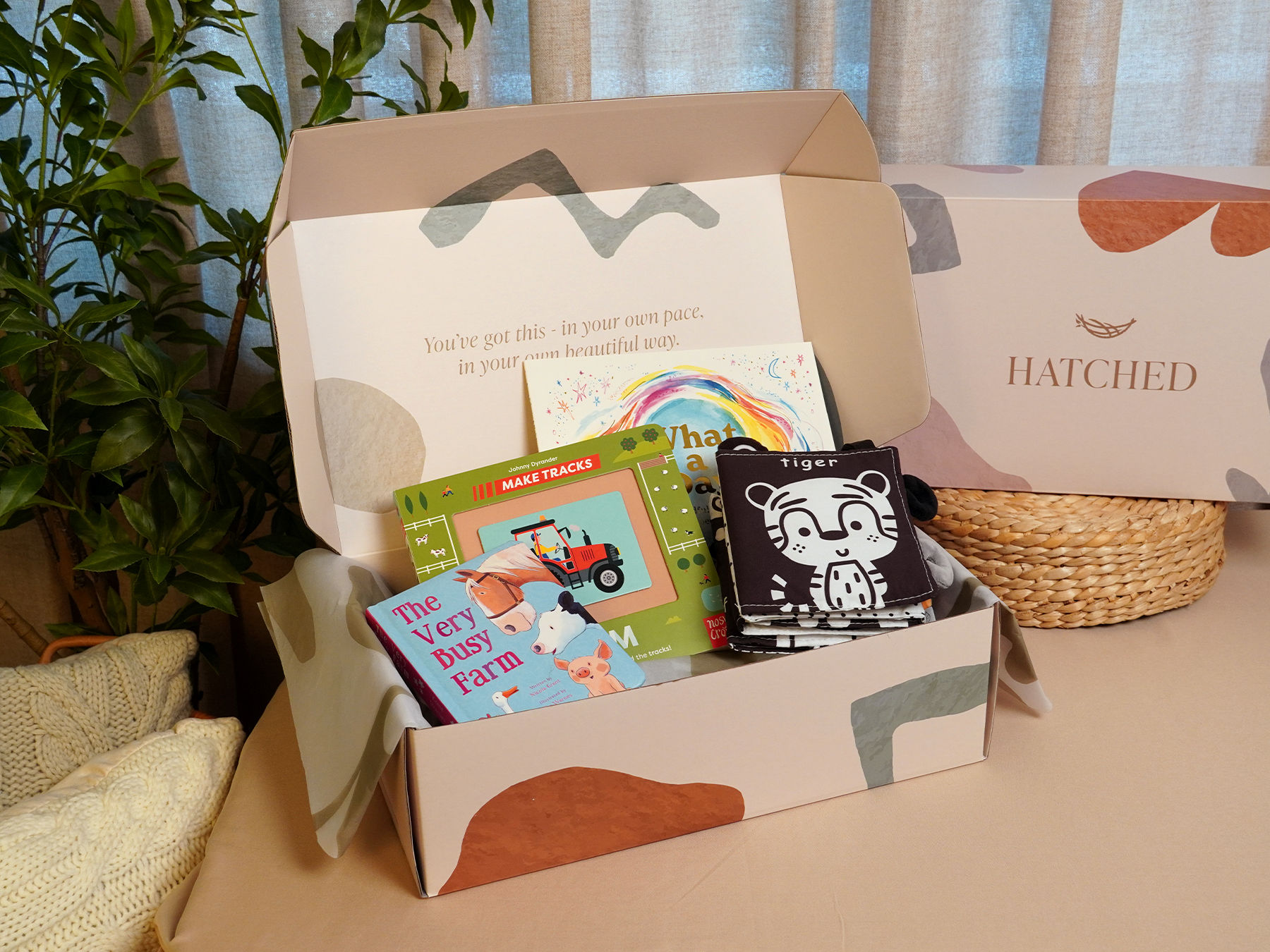 Baby's First Library Gift Set
