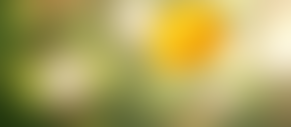 Think Like a Haiku. Escape the Noise.