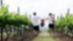Family Vineyard.jpg