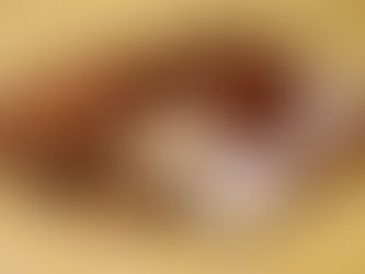 Bread of life