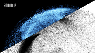 So, You're Starting a Startup?