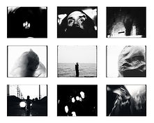 SILENT WOLF IMAGE BOARD 3.jpg