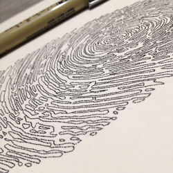 Fingerprint - Paul - detail
