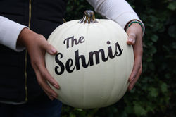 Pumpkin - The Sehmis